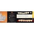 Зубы акриловые 3-х сл. EFUCERA Posterior, А3 боковые верхние, фасон 32, 8шт, EPXUA332, YAMAHACHI УТ-00009153 - фото 522669